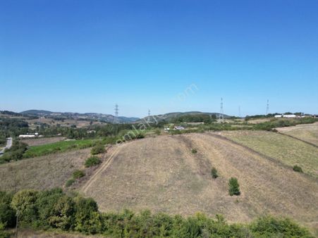 Yalova Altınova Fevziye'de 6269 M2 Satılık Tarla