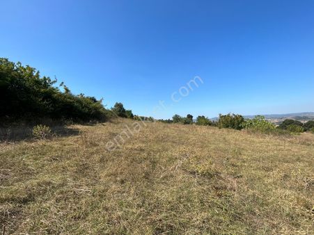 Kocaeli Karamürsel Kızderbent'de 1949 M2 Satılık Tarla