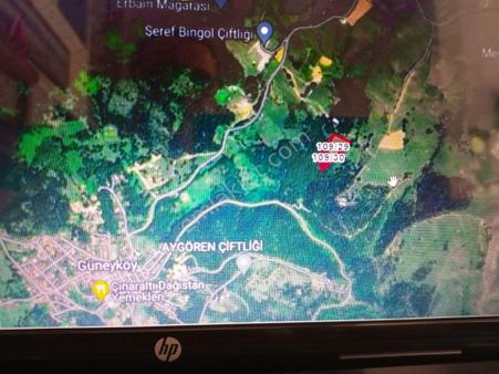 Yalova Güneyköy'de 8132 Metrekare Tarla Yanında Da Hemen Bitişik 1684 Metrekareyi Bonus Olarak