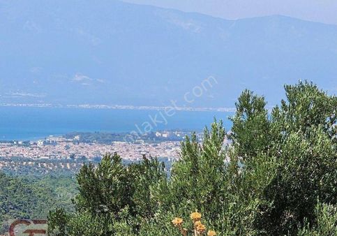 Burhaniye Şahinler Mahallesinde Kadastro Yollu Tarla