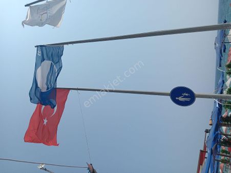 Seferihisar Ürkmezde Günlük Daire
