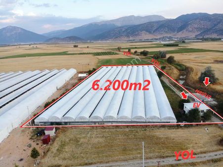 Antalya Elmalı Bayralar Mah'de 2 Adet Sondaj, Elektriği, Yolu Ve Evi Bulunan 12.000m2 Satılık Sera