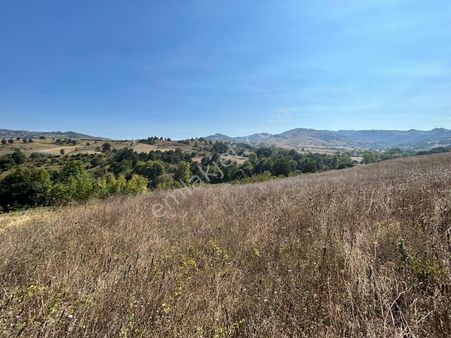 Kocaeli Karamürsel Kızderbent'de 1540m2 Satılık Tarla