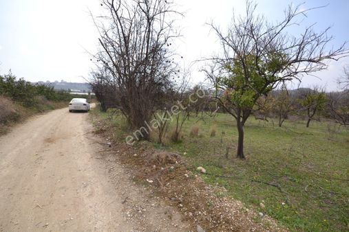 Toroslar Çopurlada 4.884 M2 Bahçe Güzel Konumlu Müsatkil Ev Yapmaya Uygun