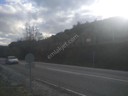 Kozak Yaylası Anayola Sıfır 10.000 M2 Konut Veya İşletmeye Uygun