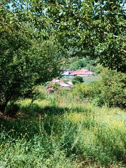 Köye 100 Metre Uzaklıkta Villa İmarlı