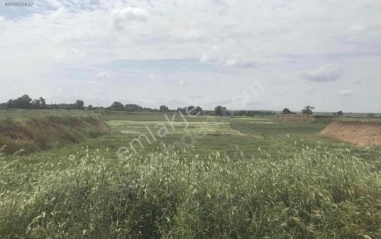 Kırklareli Babeski'de Mustekil Tarla Yatırım İçin Mükkemmel Yola Cephe