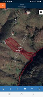 13 Dönüm 2 Parsel İçinde Ev Olan Fındık Bahcesi