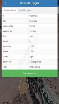 Cevizli Köyünde Yatırımlık Tarla