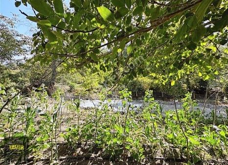 Tamer'dn Havran Çakırdere Mah.780m2 Su Kenarı Hobi Bahçesi