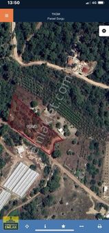 Antalya Çıralıda.4361.metrekare