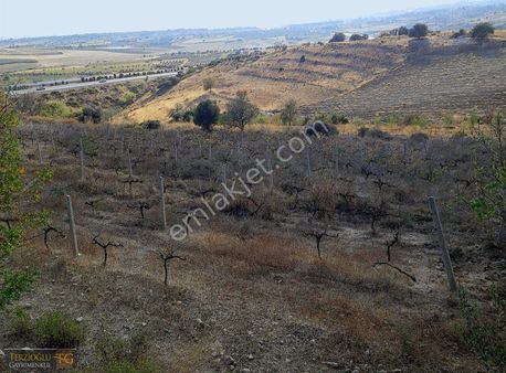 Terzioglu Gayrımenkulden Satılık Tarla
