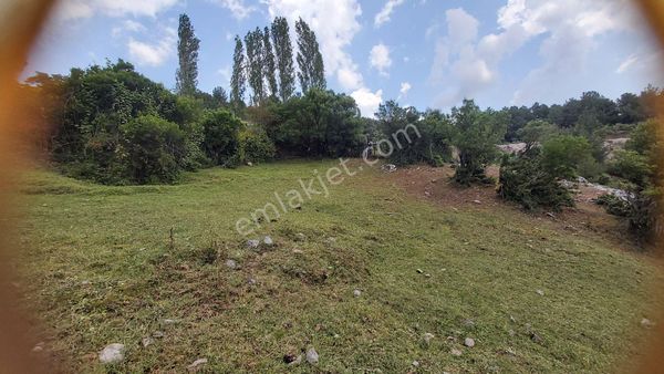 Eryılmaz Gayrimenkul'den Balıkesir Havran Kocasait Köyünde Satılık 1573 M2 Tarla