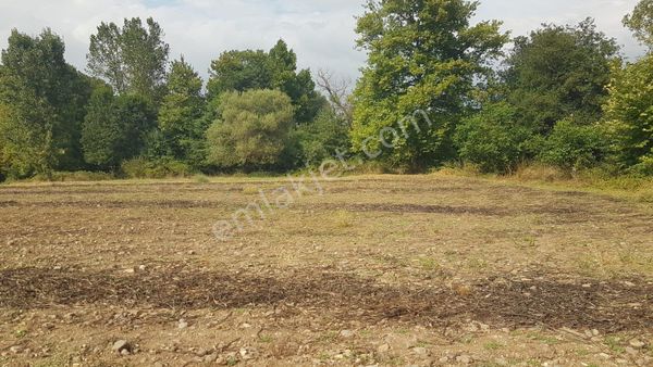 Kocaeli Karamürsel Kızderbent'de 2952 M2 %5 İmarlı Satılık Tarla