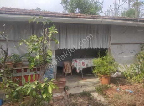 Samsun İlkadim Toybelende İcinde Bagevi Olan Arsa Satilikdir