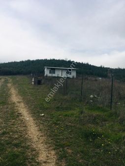 Göynüklüde Satılık 810 M2 Tarla Hissesi