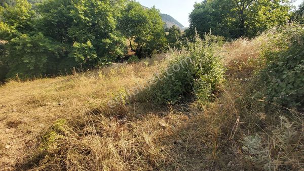 Eryılmaz Gayrimenkul'den Balıkesir Havran Kocasait Köyünde 36.000 M2 Tarla