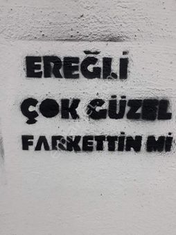 Kdz Ereğli Net Emlak Tan Balı. Mh.villa Arsası