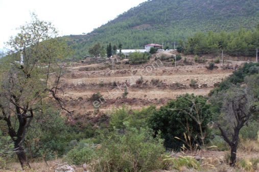 Gazipaşa Satılık Arsa 3 Villalık 1.500 M2 İnceğiz Mahallesi
