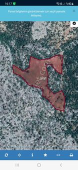 Yaylada Satılık Müstakil Tarla