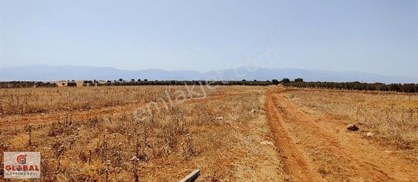 Global Gayrimenkul'den Satılık 48 Dönüm Tarım Arazisi