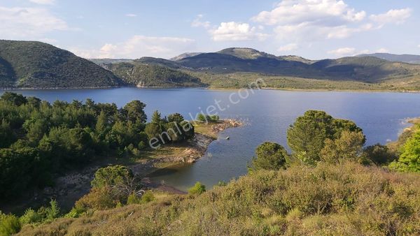 Eryılmaz Gayrimenkul'den Balıkesir Havran Sarnıç Köyünde 10.727 M2 Satılık Zeytinlik