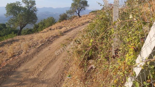 Eryılmaz Gayrimenkul'den Balıkesir Havran Kocadağ'da 383 M2 Satılık Arsa