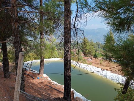 Erdemli Şahna Mahallesinde Satılık 4860 M2 Şeftali Bahçesi