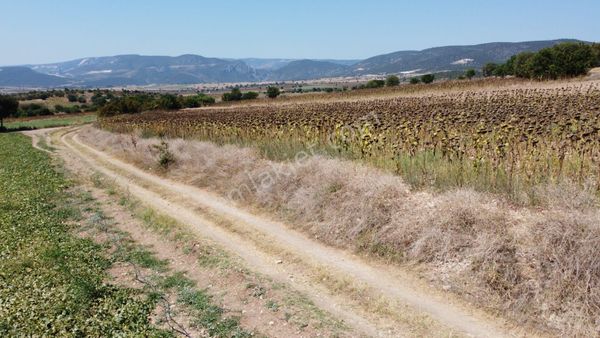 Resmi Yola Çift Cepheli 3 Dönüm Yatırımılık Tarla