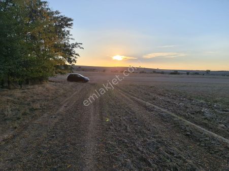 Gümrük Ve Sınıra Yakın & Sanayi Ve Lojistik İmarlı Arsa