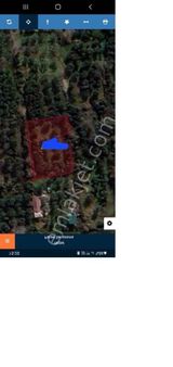 Yatırım Gayrimenkul Den Erdek Yukarıyapıcı Da 1289 M2 Egimsiz Yolu Olan Satılık Zeytinlik