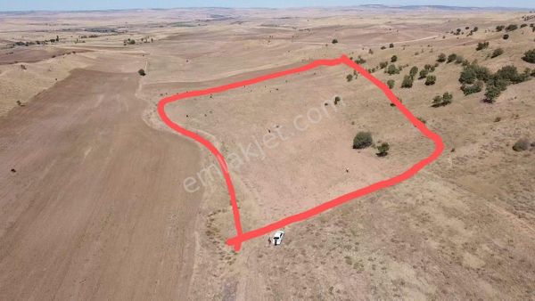 Kırıkkale Balıseyh Hüseyinobasi Mah 17.814 M2 Tarla Sadece 620 Bın Tl