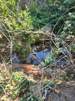 Edıncıkte Yatırım Gayrımenkul Den Narlık Bolgesınde Satılık Zeytınlık
