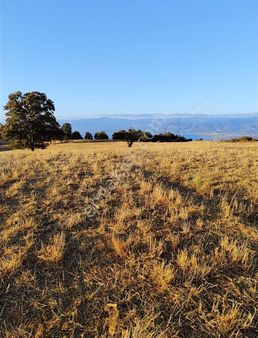 İznik Derbentte Satılık Full Manzaralı Tarla