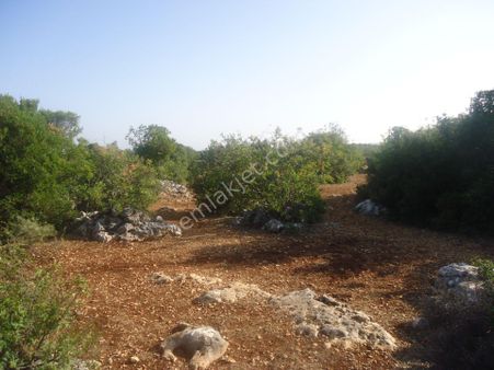 Hüseyinlerde Satılık Deniz Manzaralı Yatırımlık Tarla