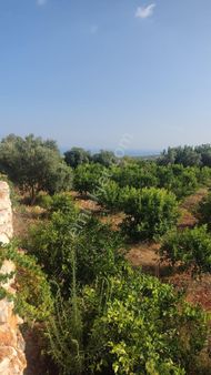 Erdemli Ayaş Kızılbağ'da Satılık Bahçe