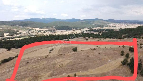 Kütahya Tavşanlı Ağaköy 6159 M2 Tarla Sadece 260 Bın Tl