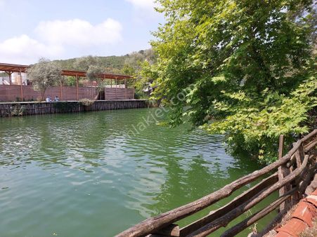 Şile Ağva Nehire 10metre Çepheli Satılık Arsa