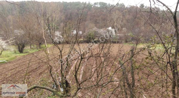 Aytemiz Emlak Grubun'dan Boğazköy'de Caddeye Cephe Satılık Tarla