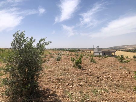 Satılık Fıstıklık Aşağı İçkara