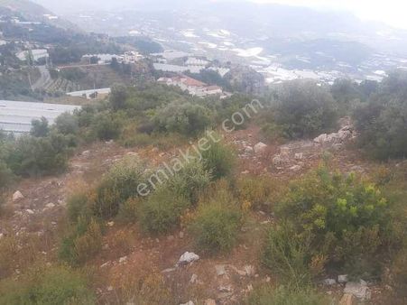 1100 M2 Ev Bahce Yapmaya Yarayan Yerimiz