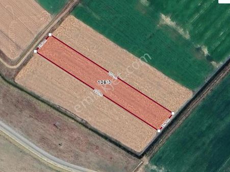 Konya Seydişehir Taşağıl Mah. Satılık Sulu Tarla 6268 M2 Yolu Suyu Var 1o Km Merkeze