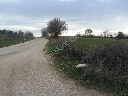Lapseki Kangırlı Köyünde 3538 M2 Satılık Tarla