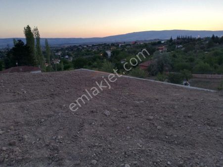 Güvenay - Çorum Ayarık Bağları 2 Dönüm Satılık Bağ