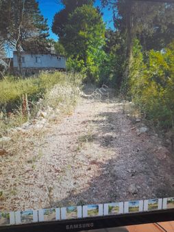 Bengisu Gayrimenkul Den Satılık Tarla