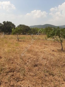 Acil Torbalı Dağkızılcada 418m2 Elektrık Suyu Mevcut Arsa