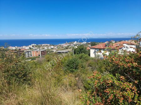 Ata Emlak'tan Yalova Koruköy'de Deniz Manzaralı Satılık Arsa