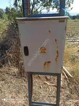 İçinde Su Elektrik Olan Meyve Bahçesi