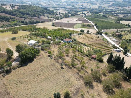 Kocaeli Karamürsel İnebeyli'de 3437 M2 Satılık Tarla-bahçe