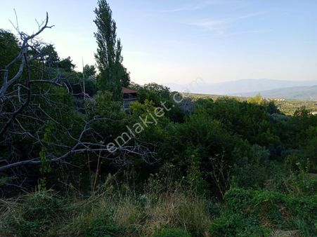 Emlak Dünyası Karacasu Şubesi Portföyde
